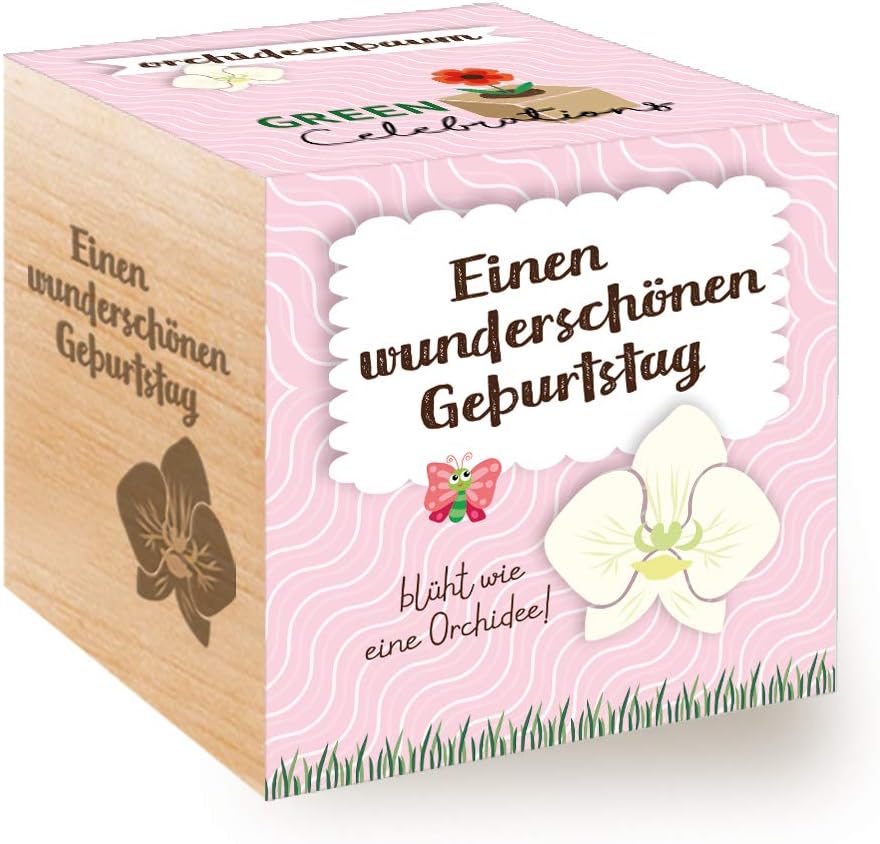 Feel Green Celebrations Ecocube, Orchid Tree, Wooden Cube with Laser Engraving «A Wonderful Birthday», Sustainable Gift Idea
