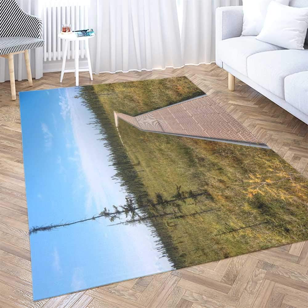 Play Area Rug,Shorping 3X5 Flower Door Area Rugs Modern Big State Park The Largest in and of Country is Minnesota One Space Area Rug Rugs for Living Room Large Area Rugs Area Rug for Kids