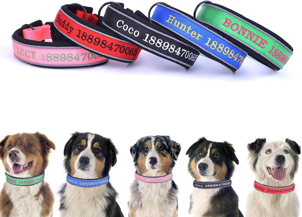 thick dog collars with name