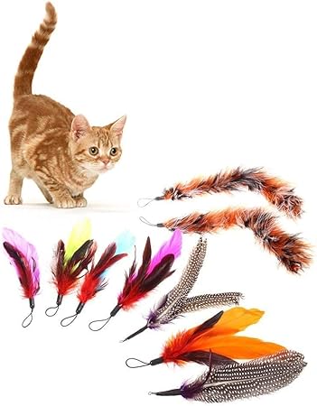 replacement feathers for cat toys