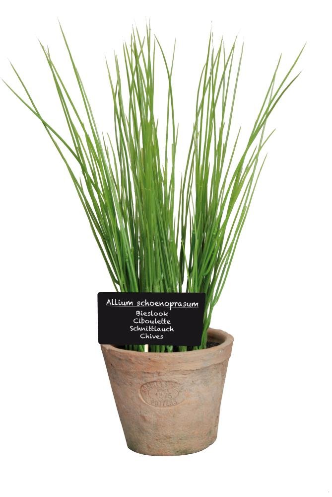 Esschert's Design AH006 Large Artificial Aged Terracotta Pot - Chives
