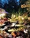 Lithonia Lighting OSTLLED 120 P BL Portable LED Spotlight with Dusk-to-Dawn Photocell, 674 Lumens, 120 Volts, 9 Watts, Wet Listed, Black