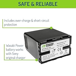Wasabi Power Battery for Sony BP-U60 and Sony