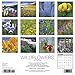 Wildflowers 2018 Calendar