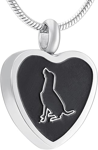 dog urns for ashes amazon