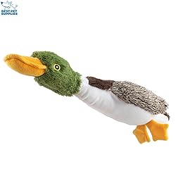 Best Pet Supplies Interactive Squeaky Dog Chew