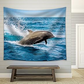 Beautiful Playful Dolphin Jumping in The Ocean Galapagos Islands - Fabric Wall Tapestry Home Decor - 51x60 inches