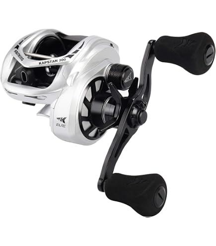 Amazon.com: Daiwa SLP Works RCSB CT SV 700S Spool, G1 Black