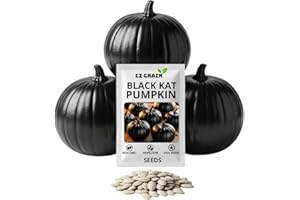 CZ GRAIN Exotic Black Kat Pumpkin Seeds for Planting (10 Seeds) – Deep Black, Smooth-Skinned Pumpkins – Rare Decorative Variety for Fall Gardens, Halloween Displays & Autumn Décor
