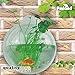 PMLAND Wall Mounted Acrylic Fish Bowl