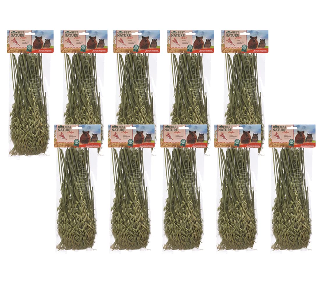 Dehner Best Nature Rodent Snack, Oatstraws, 10 x 75 g (750 g)