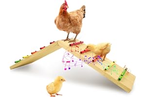 2F22E Versatile Folding Wooden Chicken Training Perch and Ramp Trainer with Xylophone for Coop - Chicken Roosting Bars, Baby Chicken Toys for Coop Accessories, No Assemble