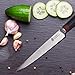 TUO Cutlery Damascus Utility Knife 6 - Japanese 67 Layers VG-10 Damascus Steel with Case - Ring Series
