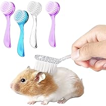 Guinea Pig Bath Tub Hedgehog Grooming Kit Foldable Bathtub, Nail