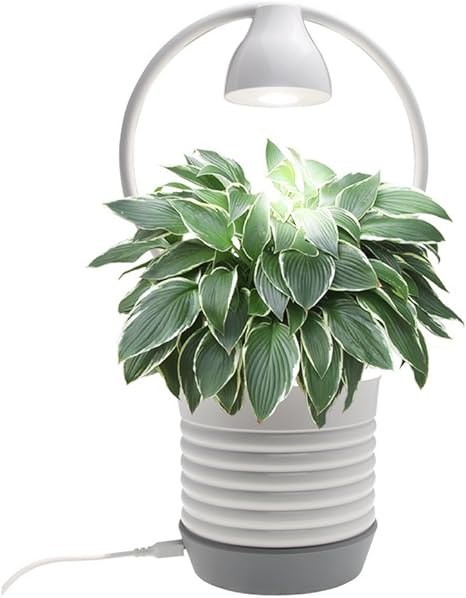 Amazon インテリジェントウォーターキット Led屋内栽培栽培者キット ガーデンライト水耕栽培 成長ハーブ 野菜と花 オフィス 家庭 温室 ビニールハウス 温室用品