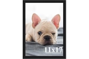 11x17 Picture Frames,Simple Designed Photo Frame,Certificate Document Frame for Horizontal and Vertical Formats,11x17 Poster 