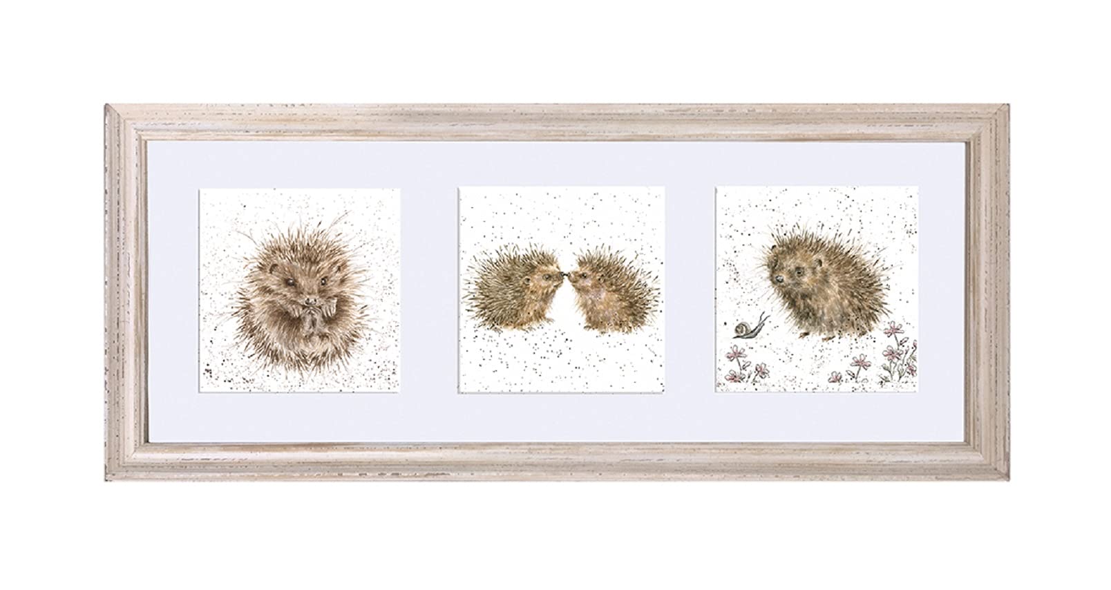 Wrendale Designs Framed Trio of Hedgehog Prints with Sage Frame - Adorable Triptych of Woodland Wildlife