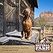 Natural Farm Odor-Free Braided Bully Sticks (6 Inch, 10 Pack) - 100% Grass-Fed Beef, Grain-Free, Low Fat & Fully Digestible Dental Treats - Safest Long Lasting Pizzle Chews to Keep Your Dog Busy