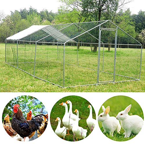 Outdoor Large Metal Chicken Coop, Walkin Poultry Cage/Pen or Duck