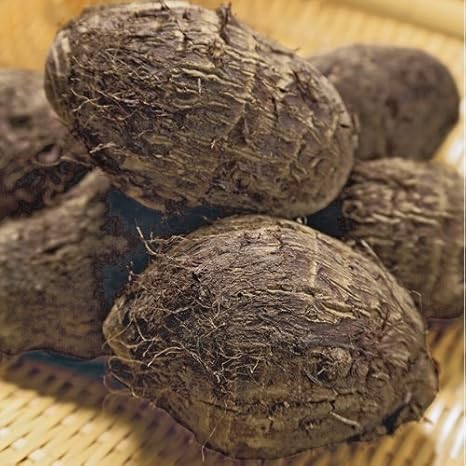 Amazon 里芋 赤芽大吉の種芋 1kg 野菜