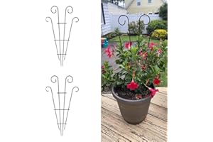 MTB SUPPLY 2 Pack Black Coated Wave Pot Trellis 31'' Stakes for Climbing Plants Patio Plant Support for Outdoor,Rose, Vegetable Flower, Backyard
