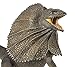 Incredible Creatures- Frilled Lizard