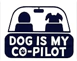 Peace Resource Project Dog is My Co-Pilot - Magnetic Bumper Sticker/Decal Magnet (5.5" X 3.75")