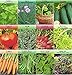 Garden Vegetable and Herb Seed Variety, Non GMO, Easy Growers (Pack of 12)