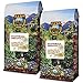 Low Acid Organic Coffee – Whole Bean, Mold-Free & Stomach Friendly by Java Planet, Guatemalan Single Origin Coffee, Medium Roast, Smooth Full Flavored, 2x1LB Bag