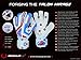 Renegade GK Talon Mirage Goalie Gloves with Pro-Tek Fingersaves | 4mm Hyper Grip & Duratek | White, Blue, Blue Goalkeeping Gloves (Size 9, Youth-Adult, Flat Cut, Level 2)