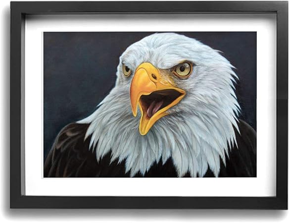 Quadro Aro 29 Venzo Aquila 2019 Aluminio 6061 Caixa De Direcao Venzo Mega Over