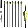 e5e10 31inch Carbon Arrow Archery Targeting Practice Hunting Arrows for Compound & Recurve Bow with Removable Tips(Pack of 12)