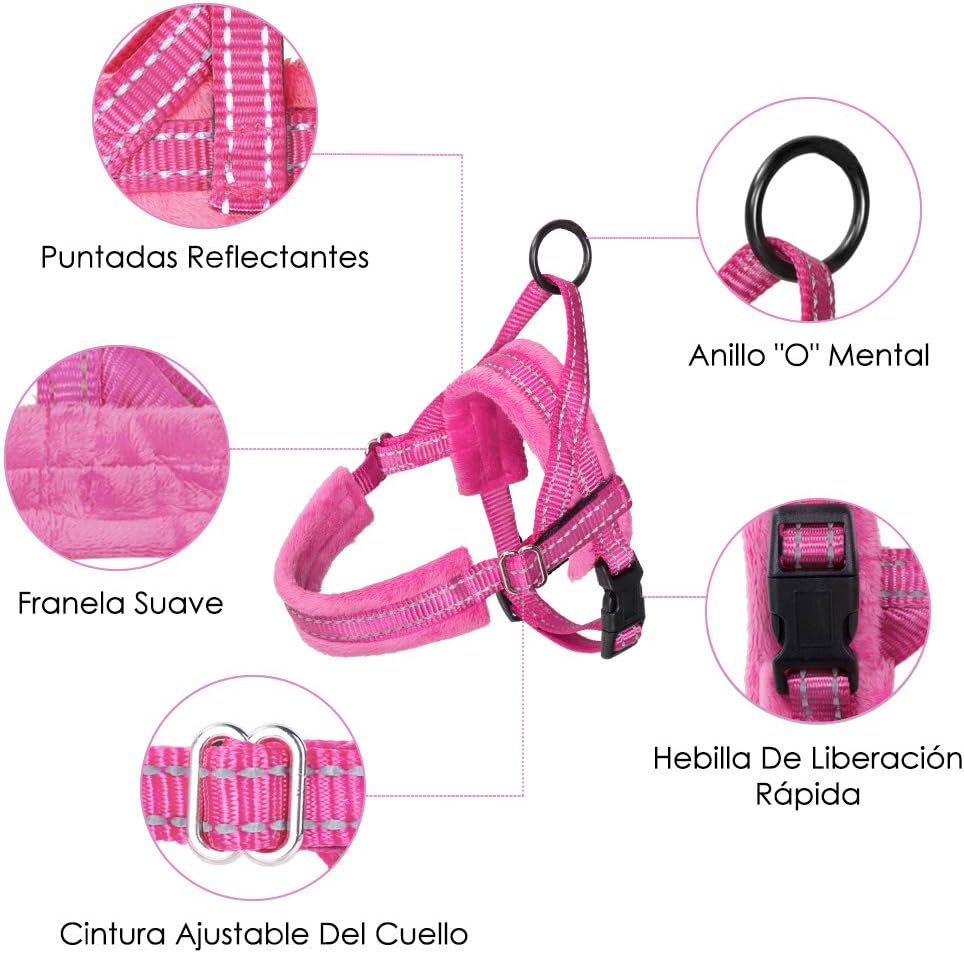 Eyein Small Dog Harness & Lead - Image 5