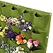 ZJchao Wall Hanging Mount Planter Plant Felt Pouch Grow Bag for Flower Vegetable Indoor Outdoor Balcony Use Multi Pocket Optional (25 Pockets, Green)thumb 3