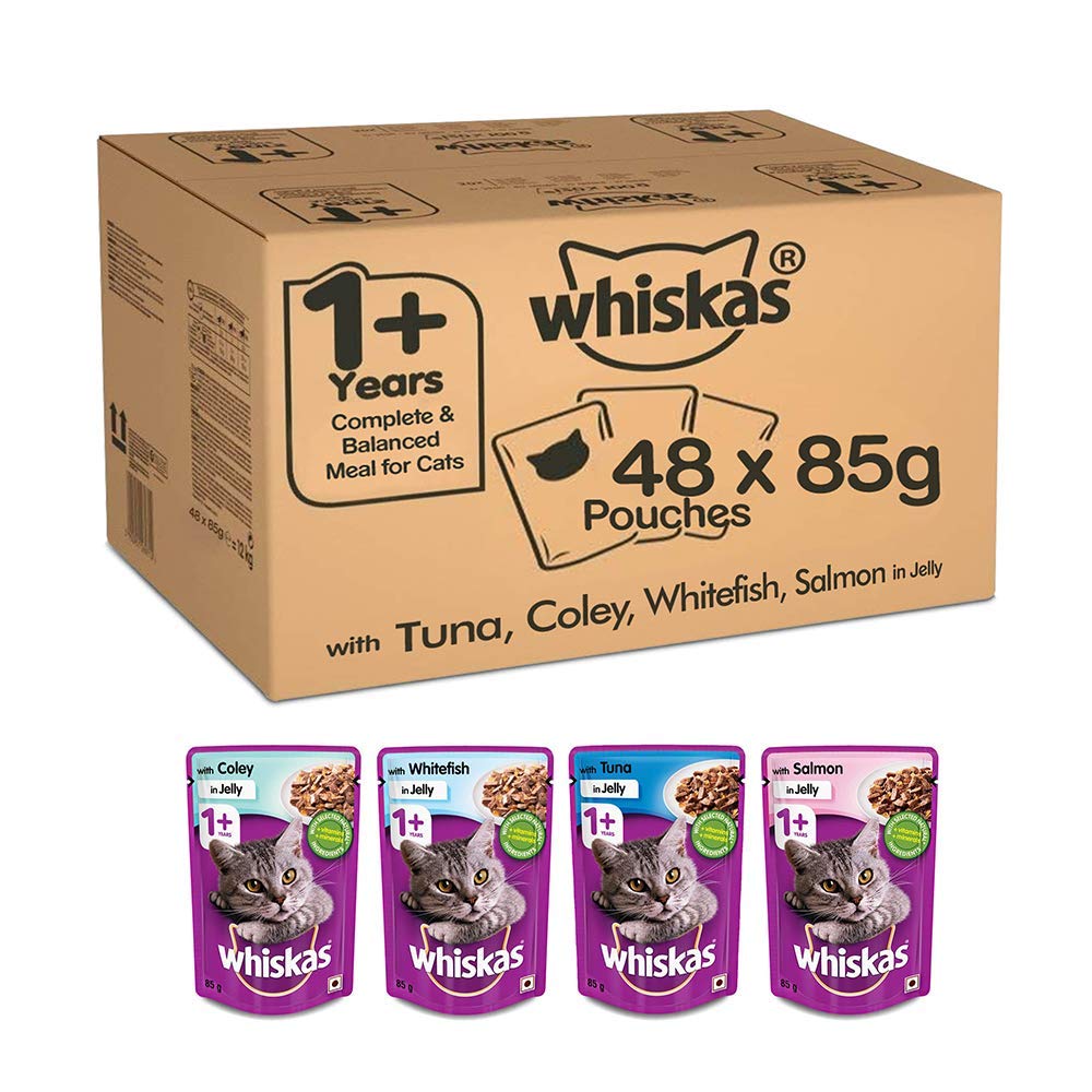 whiskas cat food bulk buy