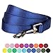 Blueberry Pet Essentials Royal Blue Dog Leash for Medium - 5' * 3/4