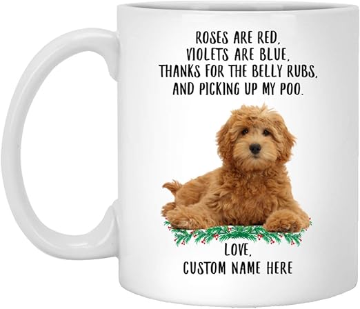 funny goldendoodle pictures