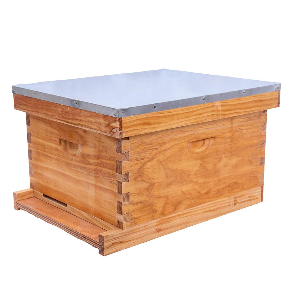 Buy Honey Lake 8 Frame Bee Hive 1 Brood Beehive Box, Bee Hives and