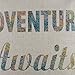 LINKWELL 18x18 inches World Map Words Adventure Awaits Throw Pillowcase Cushion Cover (CC1260)