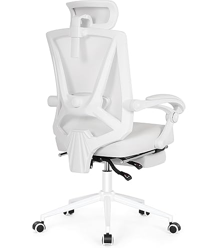 Misolant Modern Ergonomic Office Chair with Footrest, Mesh