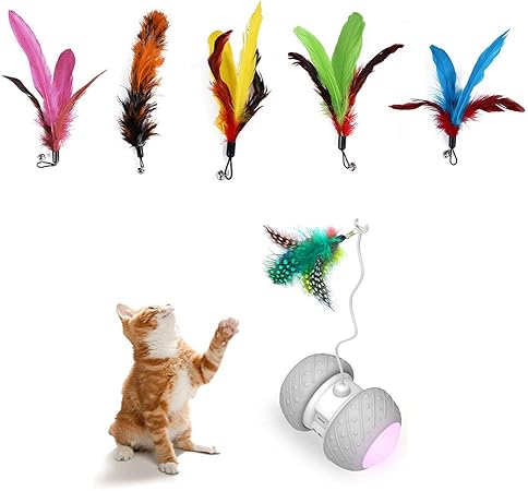 accesorios gatos amazon