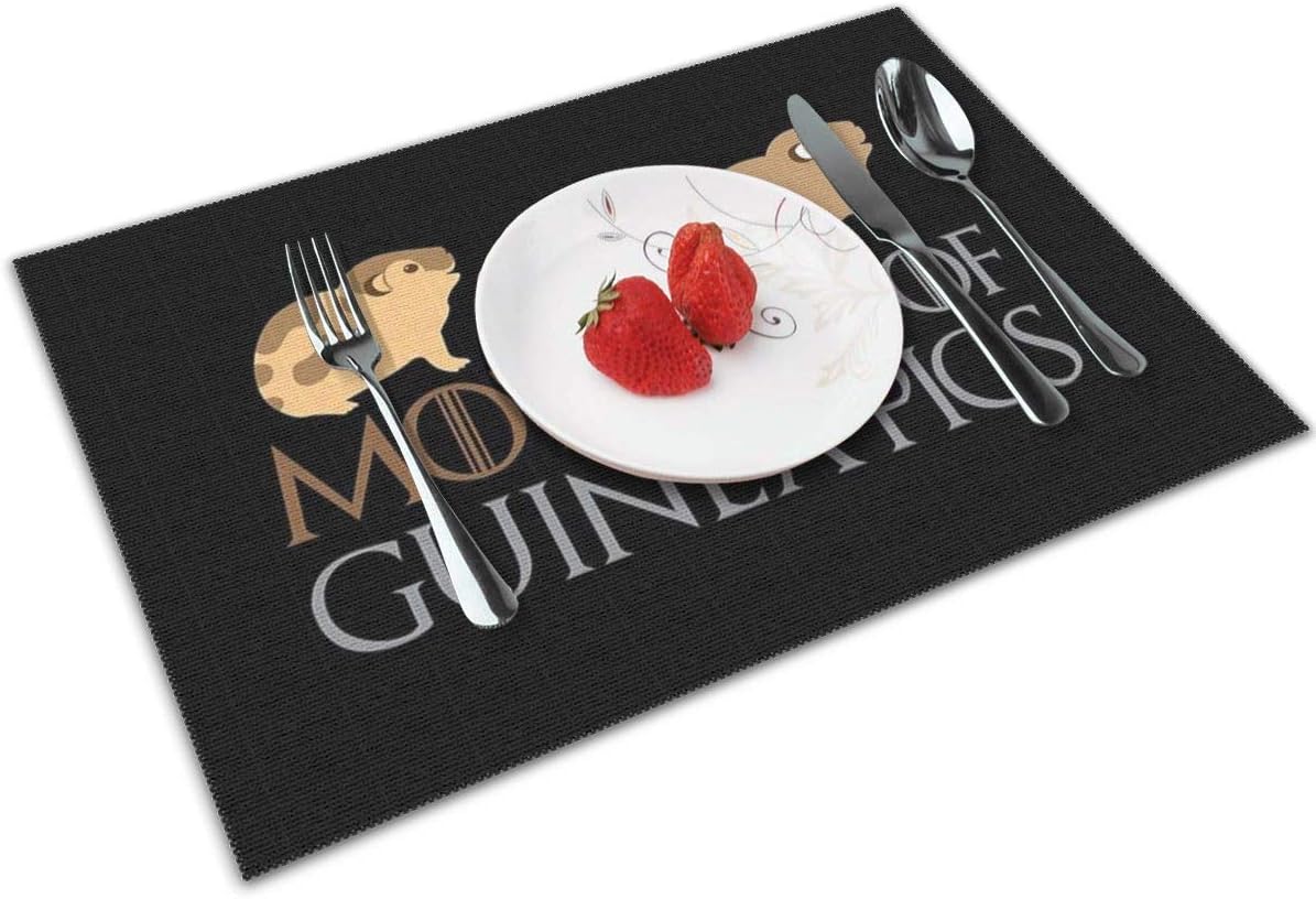 guinea pig kitchen tray