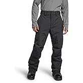 THE NORTH FACE Men's Freedom Insulated Pant