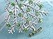 Alilang Silvery Tone Green Rhinestones Holiday Christmas Tree Star Brooch Pin