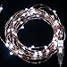 LED Fairy Lights, Oak Leaf 2 Set of USB 60 LED Starry String Lights Copper Wire for Home Bedroom Party Wedding Decoration,19.7ft,Cool White