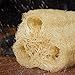 Exfoliating Loofah Sponge For Skin Care in Bath, Spa or Shower - 3 Pack Skin Care Tool For Men and Women - Durable and Easy To Use - 100% Natural Luffa - Excellent Body Scrubber and Exfoliator.