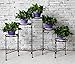 HLC 5-Tier Folding Plant Stand Screen