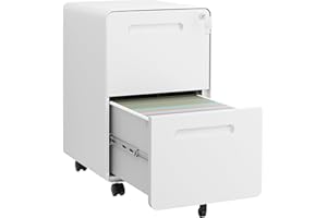 HOMSTEEL 2 Drawers File Cabinet, Metal Filing Cabinet with Lock, Mobile Vertical Cabinet with Fully Assembled Except Casters, for Home Office, for A4, Letter, Legal File Folders, White
