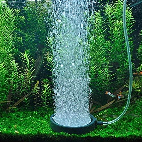 Air Stone Disc,1 PCS Aquarium Bubble Disk/Air difusser Bubble Diffuser 10.7CM Pond Pump Hydroponics Decor replacement for Decorative Hydroponics Aquarium Fish Tank Pump - Image 3