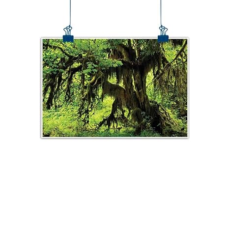 Amazon Com Fabric Cloth Rolled Rainforest Decorations Tree With